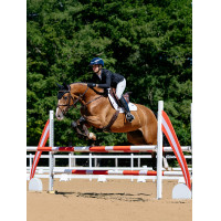 Sottosella LeMieux Loire Close Contact Square CSO Benetton Blu