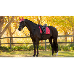 Sottosella LeMieux Loire Dressage Square Mirtillo rosso Rosa