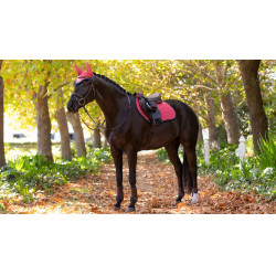 Tappetino LeMieux Reflective Suede Close Contact Square Mirtillo rosso Rosa Tappetino LeMieux Reflective Suede Close Contact Square Mirtillo rosso Rosa