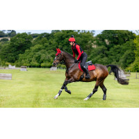 Tappetino LeMieux Reflective Suede Close Contact Square Blu navy