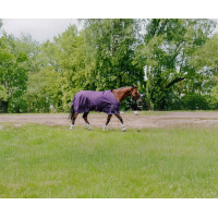 Coperta Equithème Tyrex Aisance 600D Prugna Viola Coperta Equithème Tyrex Aisance 600D Prugna Viola