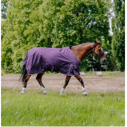 Coperta Equithème Tyrex Aisance 600D Prugna Viola Coperta Equithème Tyrex Aisance 600D Prugna Viola
