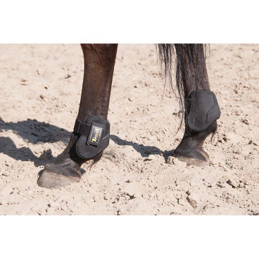 Paratendini posteriori integrali termoformati T de T Nero