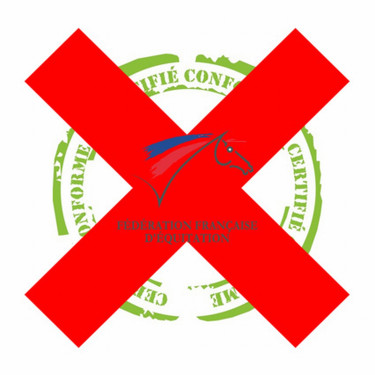 Paratendini posteriori integrali termoformati T de T Nero