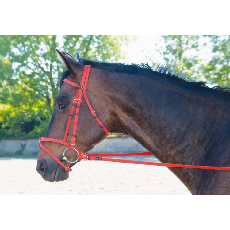 Briglia Biotack® T de T