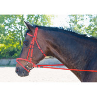 Trensenzaum Biotack® T de T Rosso