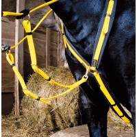 Pettorale Biotack T de T Giallo