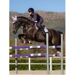 Intimo tecnico My LeMieux Ginepro Viola