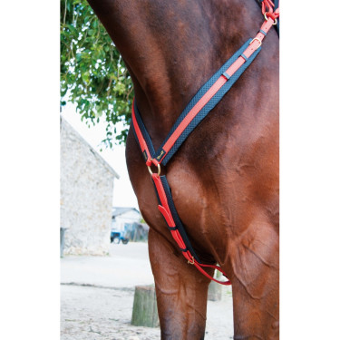 Pettorale Biotack T de T Arancione Pettorale Biotack T de T Arancione