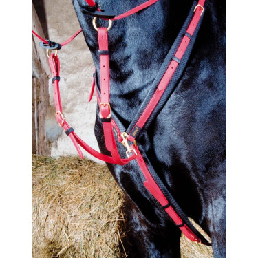 Pettorale Biotack T de T Rosso Pettorale Biotack T de T Rosso