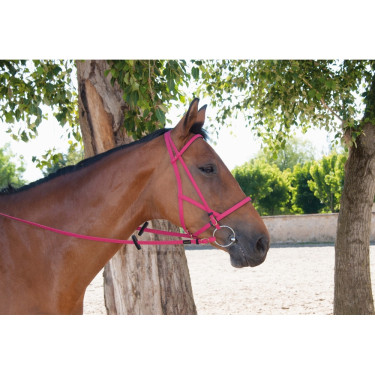 Briglia cavezza Biotack® T de T Fucsia Rosa