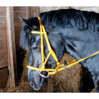 Briglia cavezza Biotack® T de T Giallo