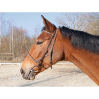 Briglia cavezza Biotack® T de T Marrone