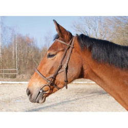 Briglia cavezza Biotack® T de T Briglia cavezza Biotack® T de T