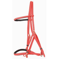 Briglia cavezza Biotack® T de T Arancione