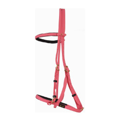 Briglia cavezza Biotack® T de T Rosa