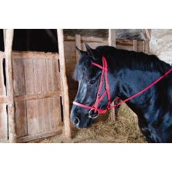 Briglia cavezza Biotack® T de T Rosso