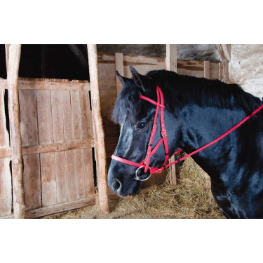 Briglia cavezza Biotack® T de T Rosso