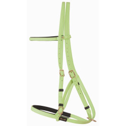 Briglia cavezza Biotack® T de T Verde