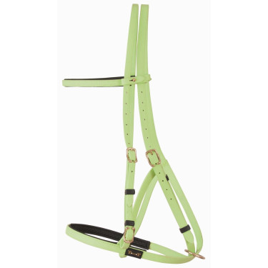 Briglia cavezza Biotack® T de T Verde
