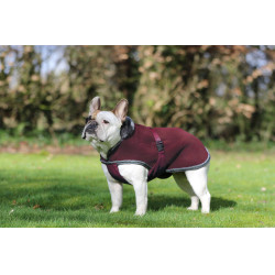 Coperta per cane Show-Line Bucas Bordeaux / grigio