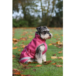 Coperta per cane Bucas Freedom 50g Lampone Rosso