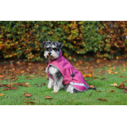 Coperta per cane Bucas Freedom 50g Lampone Rosso