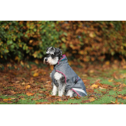 Coperta per cane Bucas Freedom 50g Grigio fumo