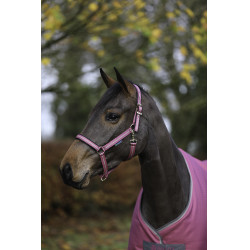 Capezza Bucas Dublin Lampone Rosso