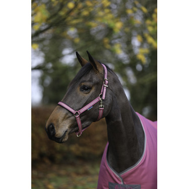 Capezza Bucas Dublin Lampone Rosso