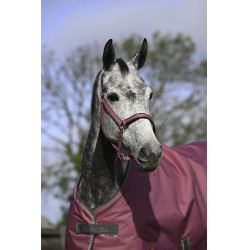 Capezza Bucas Dublin Lampone Rosso