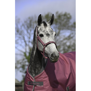 Capezza Bucas Dublin Lampone Rosso