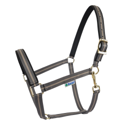 Capezza Bucas Dublin Grigio fumo