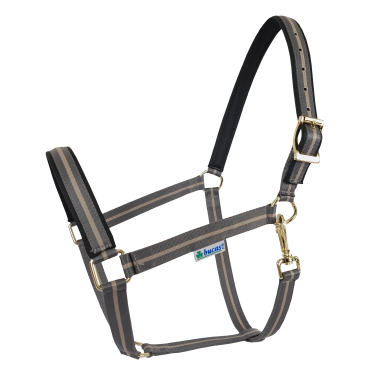 Capezza Bucas Dublin Grigio fumo