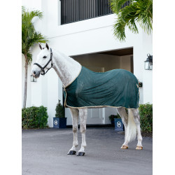 Camicia rinfrescante LeMieux Verde