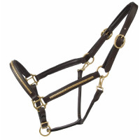 Capestro in cuoio con borchie T de T Havana scuro / giallo Marrone