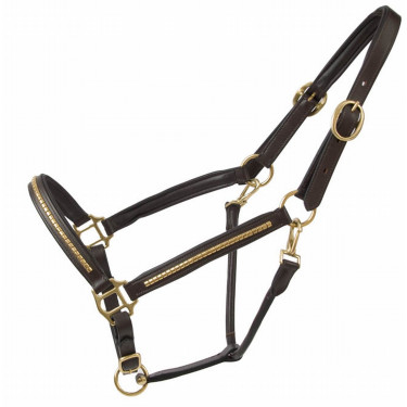 Capestro in cuoio con borchie T de T Havana scuro / giallo Marrone