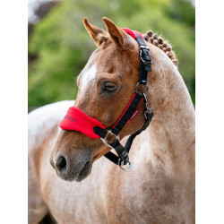 Capezza e lunghina Mini LeMieux Vogue Peperoncino Rosso Capezza e lunghina Mini LeMieux Vogue Peperoncino Rosso