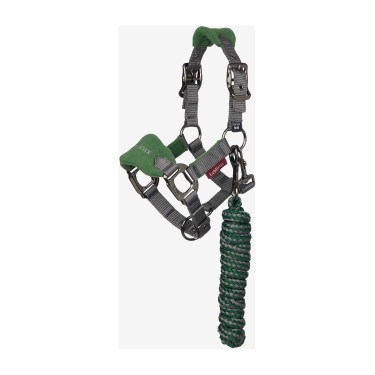 Capezza e lunghina Mini LeMieux Vogue Verde hunter