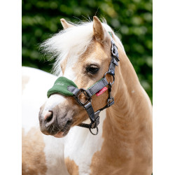 Capezza e lunghina Mini LeMieux Vogue Verde hunter