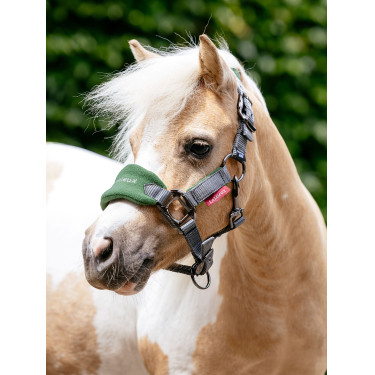 Capezza e lunghina Mini LeMieux Vogue Verde hunter