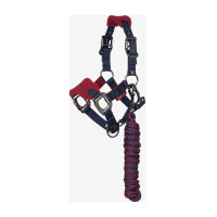 Capezza e lunghina Mini LeMieux Vogue Bordeaux