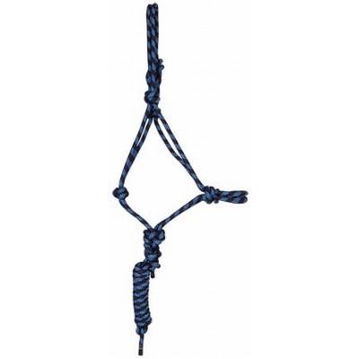 Licol éthologique + longe T de T Marine / bleu ciel