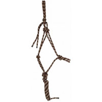 Capestro etologico + lunghina T di T Marrone / beige