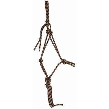 Capestro etologico + lunghina T di T Marrone / beige