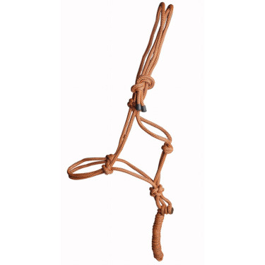 Capestro etologico + lunghina T di T Marrone / arancione