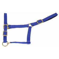 Capestro sintetico foderato in suede T de T Blu reale