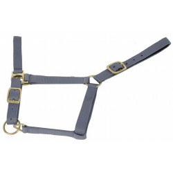 Capestro sintetico foderato in suede T de T Grigio