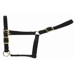 Capestro sintetico foderato in suede T de T Nero