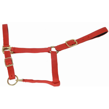 Capestro sintetico foderato in suede T de T